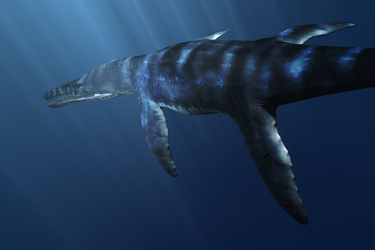 Pliosaurus macromerus
