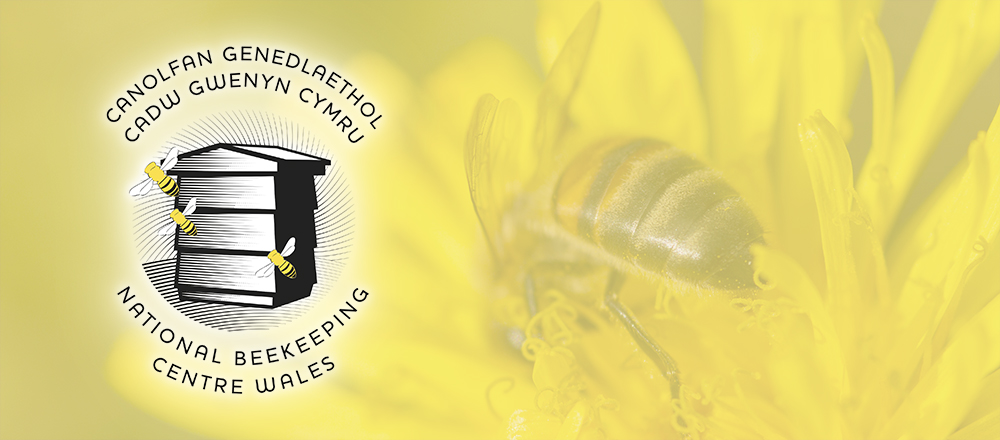 National-Beekeeping-Centre-Wales-Logo